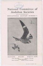 Audubon Society 1903 Educational Leaflet No 1 Nighthawk Bull-Bat Mosquito Hawk - £1.74 GBP