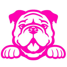 2 Pack - BULLDOG PEEKING V1 (5&quot; HOT PINK) Vinyl Decal Window Sticker - $9.89