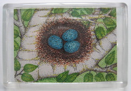 Robin&#39;s Egg Nest in White Birch Branches Print Refrigerator Magnet 2.5 x 3.5 - £4.78 GBP