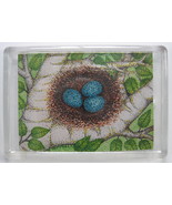 Robin&#39;s Egg Nest in White Birch Branches Print Refrigerator Magnet 2.5 x... - £4.71 GBP