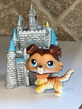 Littlest Pet Shop Collie Dog #58 PAW UP blue eyes brown puppy LPS AUTHENTIC Rare - £71.93 GBP