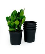 Catleza 8&quot; Round Nursery Plant Pot - Garden Plastic Pots with Drainage (... - $852.63 MXN