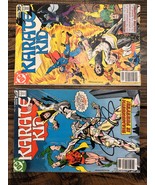 Karate Kid #13 #14 1978 DC Comics 35c Newsstand Issue Bob McLeod Buckler... - $17.09 CAD