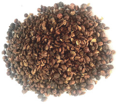 1 kg. Celastrus Paniculatus Seeds Wildharvested India - $69.99