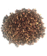 1 kg. Celastrus Paniculatus Seeds Wildharvested India - £52.59 GBP