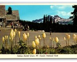 Indian Basket Grass Mt Rainier National Park Washington UNP Chrome Postc... - £2.33 GBP