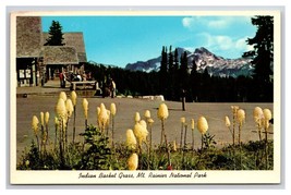 Indian Basket Grass Mt Rainier National Park Washington UNP Chrome Postcard S25 - £2.33 GBP