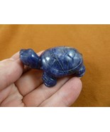 Y-TUR-LAO-702 Dark blue sodalite TURTLE tortoise FIGURINE gemstone turtles - $34.28 CAD
