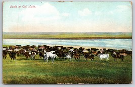 Cattle At Gull Lake Saskatchewan Canada UNP Unused DB Postcard E14 - £14.04 GBP