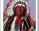 Native American Chief in Full Regalia UNP Linen Postcard C16 - $6.88