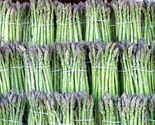 100 Seeds Asparagus Uc72 Mary&#39;S Granddaughter Heirloom Organic Non Gmo F... - £7.20 GBP