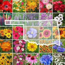 US Seller 1000 Seeds Wildflower Oklahoma State Flower Mixs &amp; Annuals - £7.96 GBP
