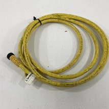 Lumberg RKW 50-677/12FT Single Ended Cordset - $29.99