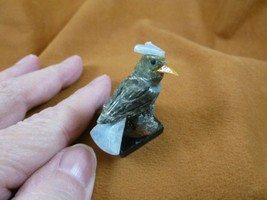 (Y-BIR-CA-451) Cardinal green blue bird gemstone STONE carving Peru card... - $12.19