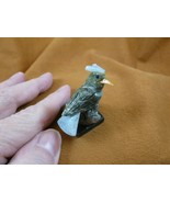 (Y-BIR-CA-451) Cardinal green blue bird gemstone STONE carving Peru card... - $12.19