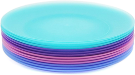 10-Inch Plastic Dinner Plates Reusable Plates Picnic Plates | Set of 12 in Coast - £22.26 GBP