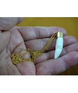 (G169-16) 1-1/4&quot; Alligator Tooth Teeth Gold plated brass capped pendant ... - $450.75 MXN