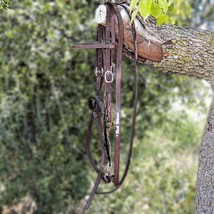 Rick Wheat Noavel Headstall Training Bitless Bosal Hackamore with Split Reins - £191.83 GBP