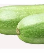 FARM 20 Italian Squash Zucchini Non-Gmo Heirloom Bulk Seeds - $171.69 MXN