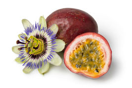 10 Passion Fruit Seeds Purple Edulis Passionfruit Vine EDIBLE - £6.78 GBP