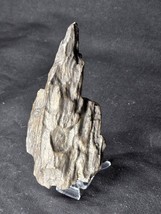 Petrified Wood Log Large Natural Decorative Crystal (05) - $453.96 MXN