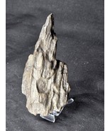 Petrified Wood Log Large Natural Decorative Crystal (05) - $34.79 CAD