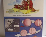 1978 Walt Disney&#39;s Fun &amp; Facts Flashcard #DFF4-13: Sex and Reproduction - $2.00