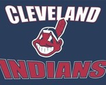 Cleveland Indians Flag 3x5ft Banner Polyester Baseball World Series 006 - £12.56 GBP