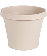 Bloem Terrapot 7 in. H Resin Traditional Pepperstone Planter - $25.75 CAD
