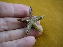 Y-STA-4) little red Starfish marine sea star stone carving SOAPSTONE lov... - €7,86 EUR