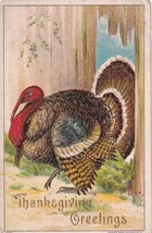 Thanksgiving Greetings Large Turkey Postcard D59 - £2.36 GBP