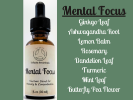MENTAL FOCUS Herbal Tincture Blend / Liquid Extract / Organic Apothecary... - $14.95