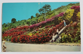 1973 HAWAII MACHADO GARDENS KEALAKEKUA STAMPED AND DATED POSTCARD VINTAG... - £9.57 GBP