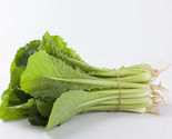 200 Seeds Pak Choi Green Stem Chinese Cabbage Non GMO - £7.67 GBP