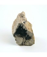 Petrified Wood South Dakota 13 oz 1.75&quot; x  2.25&quot; x 3” Wooden Rock Stone ... - $27.24 CAD