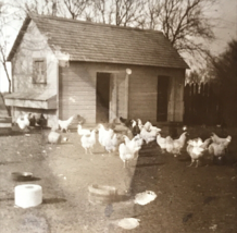 1904-1918 RPPC Chicken Coop Shack Feeding Farm Nebraska? Real Photo Postcard AZO - $13.99