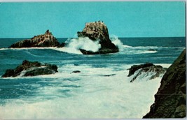 Seal and Bird Rocks Laguna Beach California Postcard - £3.40 GBP