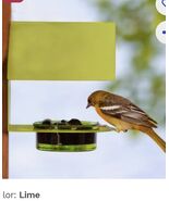 Mosaic Birds Cottage Bird Feeder Lime Green New In Box - $22.13 CAD