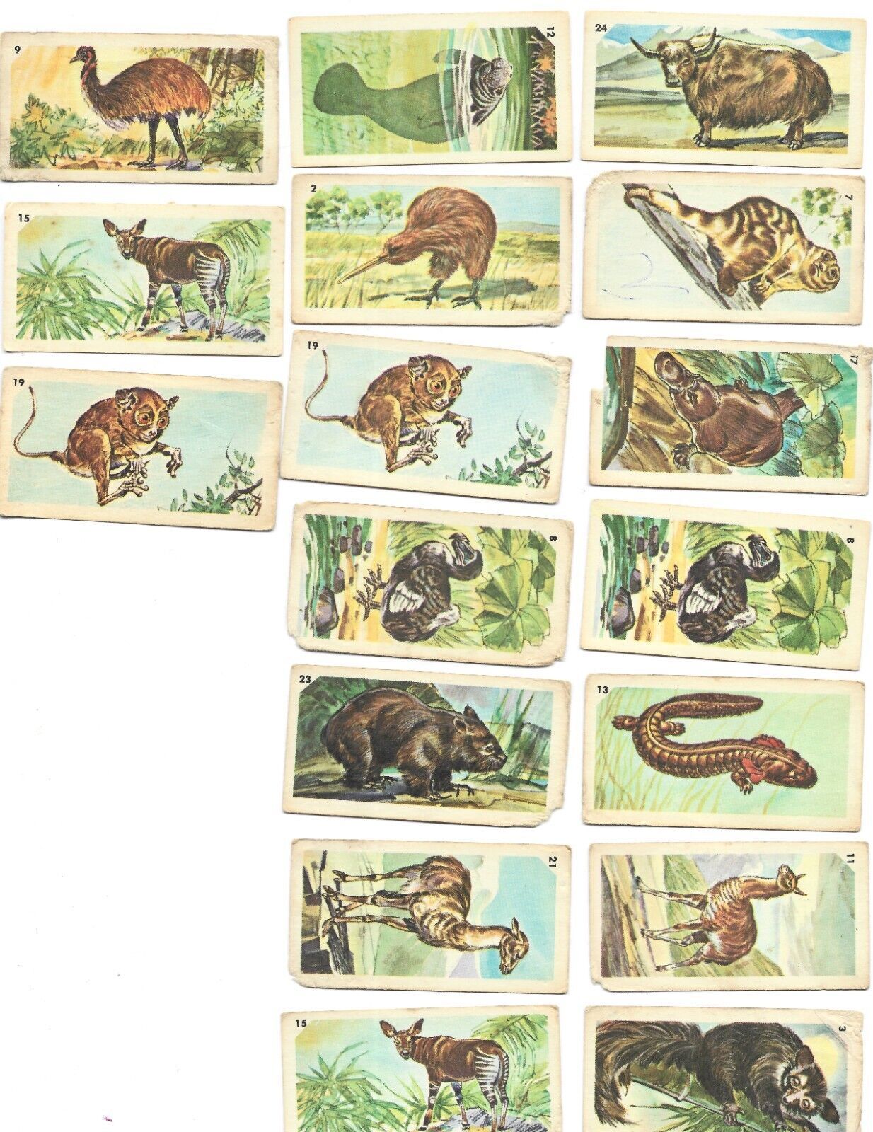 17 Nabisco Trading Cards-Exotic Animals- - $22.00