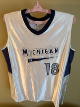 Michigan Ice Softball Team Jersey with Signature of #18 Jenny Mackson - ... - £22.22 GBP