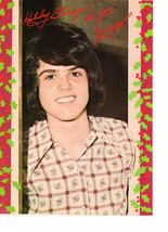 Donny Osmond teen magazine pinup clipping hanging outside a back door Teen Beat - £2.74 GBP