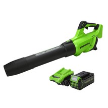 Greenworks 40V (550 CFM / 130 MPH) Brushless Axial Leaf Blower 4Ah USB B... - £252.69 GBP