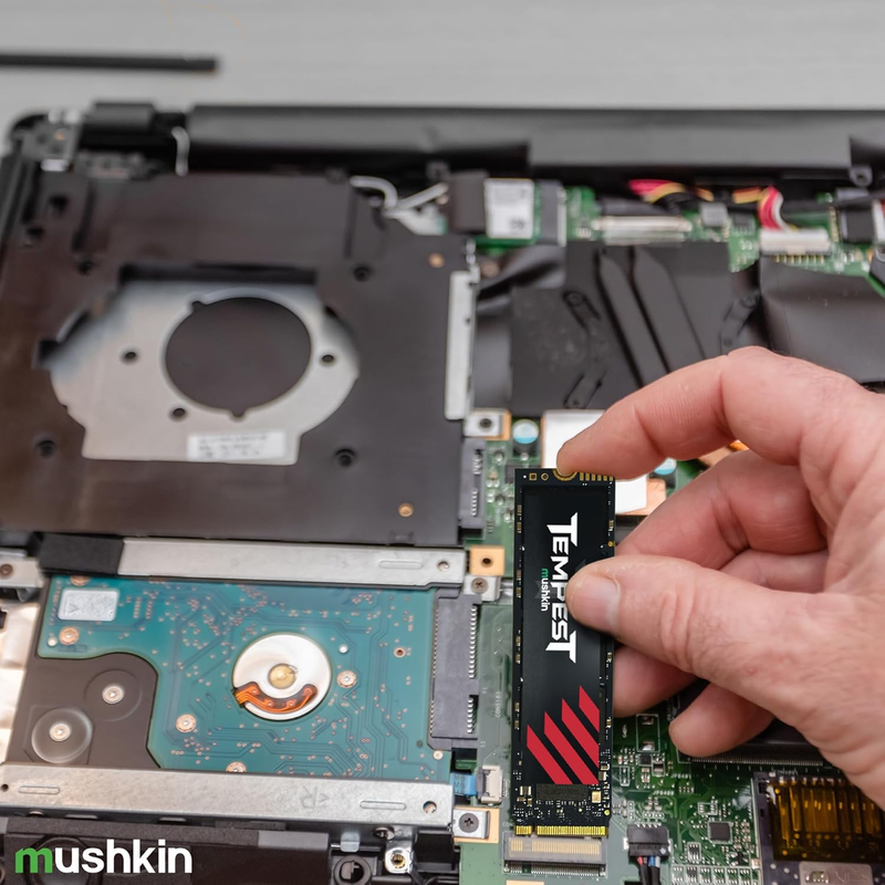 Tempest – 1TB Pcie Gen3 X4 Nvme 1.4 – M.2 (2280) Internal Solid State D Item image 2