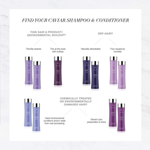 Alterna Caviar Anti-Aging Multiplying Volume Shampoo, 16.5 Oz. image 5