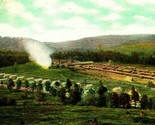 Lumber Mill and Workers Homes Sheffield Pennsylvania PA 1909 DB Postcard - £11.65 GBP