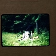 Black Bear In Garbage Can State Park VTG Kodachrome 35mm Found Slide Pho... - £8.73 GBP