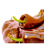 35 Chocolate Poblano Sweet Pepper Seeds Mulato Isleño Heirloom Chile Anc... - $12.30 CAD