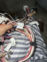 Genuine OEM Frigidaire Oven Surface Wire Harness A07211606 - $32.90