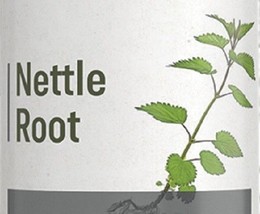 STINGING NETTLE ROOT - Healthy Kidney &amp; Urinary Tract Support Extract Ti... - £19.59 GBP+