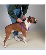 MPP 50 Pack Dog Harnesses Bulk Wholesale Assorted Colors Vet Rescue Shel... - $477.32 CAD+